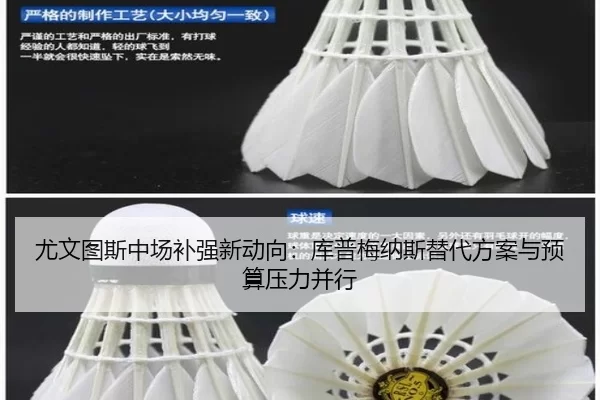 尤文图斯中场补强新动向：库普梅纳斯替代方案与预算压力并行